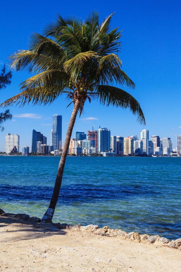 Enchanting Cozy Apartment 10 Min Away From Airport, Calle 8, Brickell, Coral Gables, The Beach And More! Miami Kültér fotó