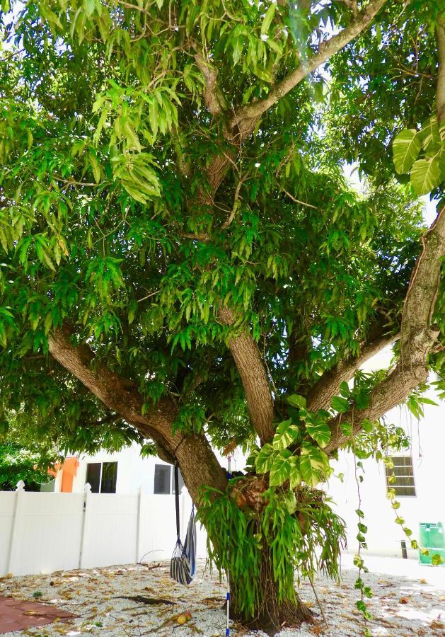 Enchanting Cozy Apartment 10 Min Away From Airport, Calle 8, Brickell, Coral Gables, The Beach And More! Miami Kültér fotó